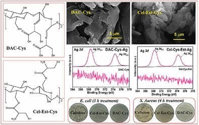 Anchoring Silver Ions onto Cysteine‐Derivatized Cellulose and Its Antibacterial Effect