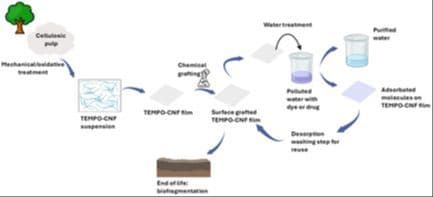 Aqueous‐Phase Surface Amidation of TEMPO‐CNF Films for Improved Adsorption of Organic Pollutants in Water