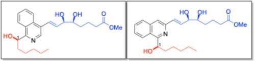 Asymmetric Synthesis and Biological Evaluation of 1,3‐ and 1,4‐Disubstituted Isoquinoline‐Containing Lipoxin A4 Analogues