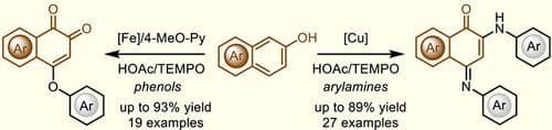 Base‐Metal‐Catalyzed Oxidative Cross‐Couplings Between 2‐Naphthols and Phenols or Arylamines