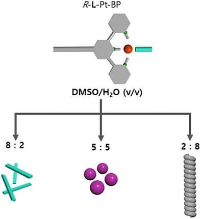 Behavior of Supramolecular Polymerization of Alkynylplatinum(II) Complex in Different Compositions of DMSO and Water