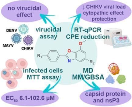 Benzoxazoles Derived from Eugenol as Potential Agents against Arboviruses: Synthesis, Antiviral Studies, and Mechanistic Insights