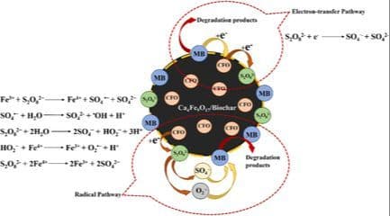 Biogenic Growth of Magnetic Retrievable Ca4Fe9O17 Anchored on Rice Husk Biochar for Methylene Blue Degradation through Persulfate Activation