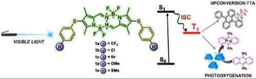 BOPHY Dyes Bearing Arylsulfenyl Moieties as Highly Efficient Triplet Photosensitizers