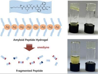 Breaking Down the Core Peptide of Amyloid Beta Protein with Enediyne and Mechanistic Study