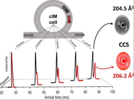 Can Conformers Be Identified via Cyclic Ion Mobility Mass Spectrometry? Hexosamine Epimers Reveal Ultrastable Ring Structures