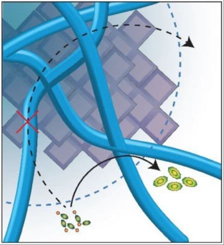 Catalyst Encapsulation Differentially Modulates Catalyst Activity in Bioorthogonal Polymeric Nanozymes