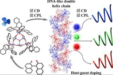 Chiral Tin‐Oxo Cluster Matrices with Fluorophore Embedment for Multichromatic Circularly Polarized Luminescence