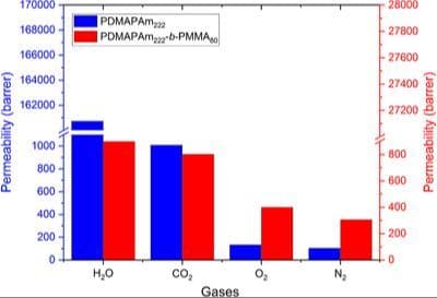 CO2‐Responsive Polymers for Membrane Applications: Synthesis and Adsorption Performance