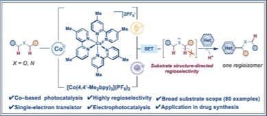 Cobalt Polypyridyl‐Enabled Highly Regioselective α‐Heteroarylation of N,O‐Containing Aliphatics Through Photoelectrocatalysis