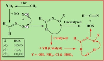 Computational Investigation of Radical‐ and Catalyst‐Assisted Decomposition of CH2NO• to HCN
