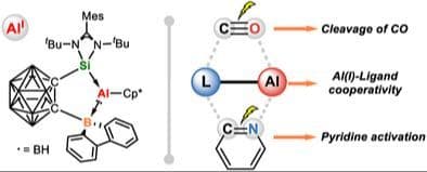Cooperative Activation of CO and Pyridine by an Aluminum(I) Complex Ligated with a Silylene–Borane Ligand