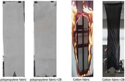 Design and Evaluation of Albumin‐Based Surface Functionalized Nanoparticles for Targeting Breast Cancer