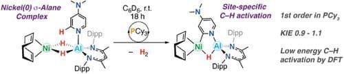 C(sp2)─H Bond Activation with a Heterometallic Nickel–Aluminium Complex