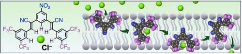 Cyanostilbenes as Selective Chloride Carriers Relying on CH‐anion Interactions