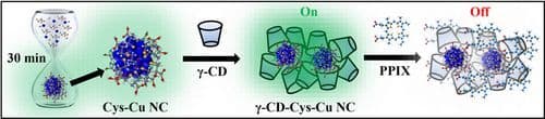 Cyclodextrin‐Assisted l‐Cysteine‐Capped Copper Nanoclusters: Rapid Synthesis, Enhanced Photoluminescence, and Small Molecule Interactions in Complex Biological Matrices