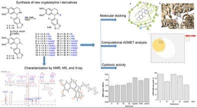 Design and Synthesis of Cryptostyline I Derivatives: Cytotoxic Activity and Molecular Docking Insights