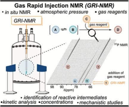 Design of a Gas Rapid Injection Nuclear Magnetic Resonance System for Structure Elucidations and Kinetic Analyses
