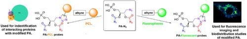 Designing New Natural‐Mimetic Phosphatidic Acid: A Versatile and Innovative Synthetic Strategy for Glycerophospholipid Research