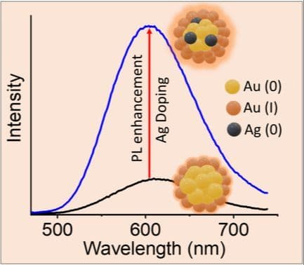 Doping of Silver Atom Enhances the Fluorescence Intensity in Glutathione Functionalized Gold Nanoclusters