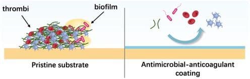 Dual‐Functional Antimicrobial and Anticoagulant Coatings: Synergistic Mechanisms, Research Advances, and Translational Challenges