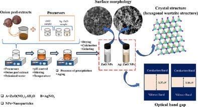 Eco‐Friendly Synthesis of ZnO and Ag‐Doped ZnO Nanoparticles Using Onion Peel Extract: Characterization and Comparative Analysis