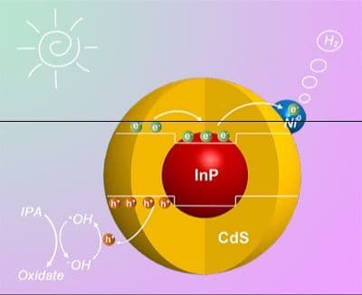 Efficient Photocatalytic Hydrogen Evolution via Band‐Engineered Reverse Type‐II InP/CdS Core/Shell Quantum Dots