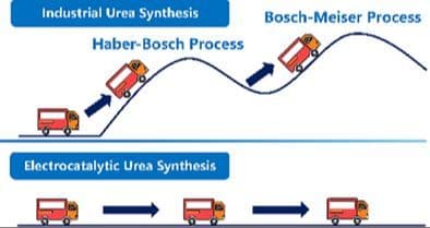 Electrocatalytic Urea Synthesis via C─N Coupling: Catalyst Design and Mechanistic Insights