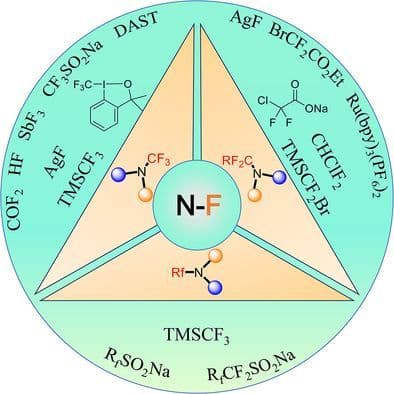 Emerging Strategies in N‐Fluoroalkylation: Recent Progress