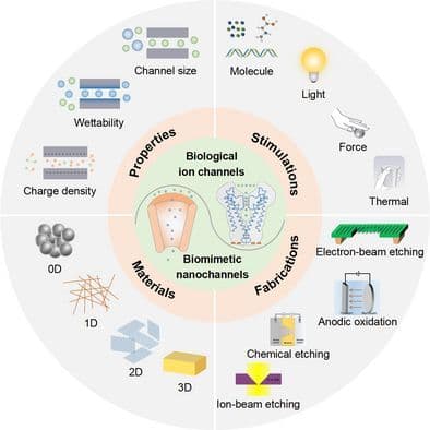 Engineered Nanofluidics for Molecular Recognition and Physical Perception