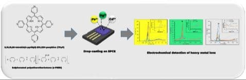 Enhanced Electrochemical Detection of Heavy Metal Ions Using TPyP‐sPEEK Composite‐Modified Electrodes