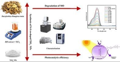 Enhanced Photocatalytic Activity of Sulfur–Nitrogen Co‐Doped TiO2 Nanoparticles Synthesized using Dactylorhiza hatagirea Root Extract