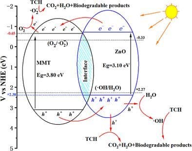 Enhanced Photocatalytic Performance of ZnO/MMT Composite for Tetracycline Hydrochloride Degradation