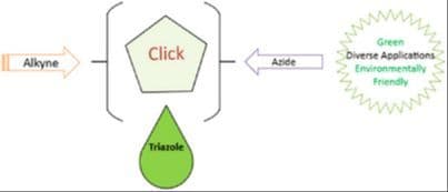 Environmentally Benign Click Chemistry: A Path to Biologically Active Triazoles