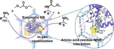 Enzyme‐Assisted Confined Synthesis of Metal Nanoparticles in Covalent Organic Frameworks for Efficient Enzyme‐Metal Cascade Catalysis
