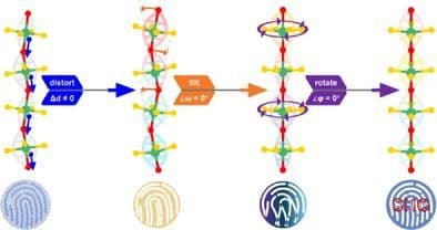 Exceptional Second Harmonic Generation in Ultraviolet Nonlinear Optical Oxyfluoroniobate Crystals via Structural Fingerprint Optimization of Polar Chains
