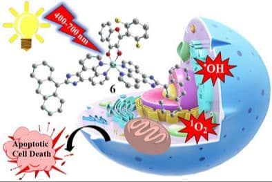 Exploration of Visible Light Assisted Anticancer Activity of Co(II) Flavonoids