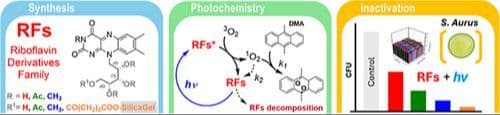 Exploring Riboflavin Derivatives in the Photodynamic Inactivation of Staphylococcus aureus
