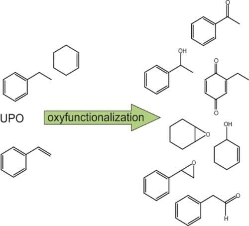 Exploring Unspecific Peroxygenase Selectivity with Diverse Hydrocarbon Substrates