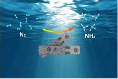 Fe─N4‐Anchored Carbon Layer Patched TiO2 Cavities to Construct an “In‐Lattice Heterojunction” for Enhanced Photocatalytic Nitrogen Reduction Reactions