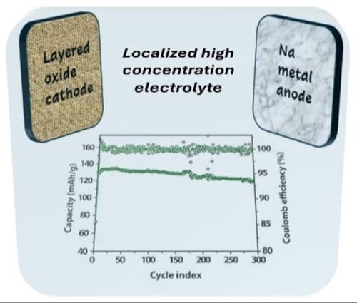 Glyme‐based Localized High Concentration Electrolytes Improve the Stability of Na‐ion Battery Materials in Half‐cells