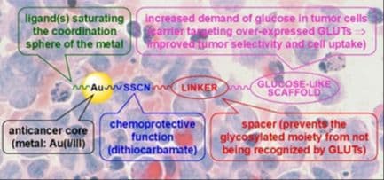 Gold‐Dithiocarbamato Glycoconjugates as Potential Anticancer Agents: Design, Physico‐Chemical Characterization, and In Vitro Biological Activity