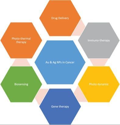 Green Synthesis of Silver and Gold Nanoparticles: Plant‐Mediated Approaches and Anticancer Potential