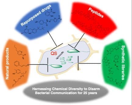 Harnessing Chemical Diversity to Disarm Bacterial Communication for 25 Years: Natural Products, Repurposed Drugs, Peptides, and Synthetic Quorum Sensing Inhibitors