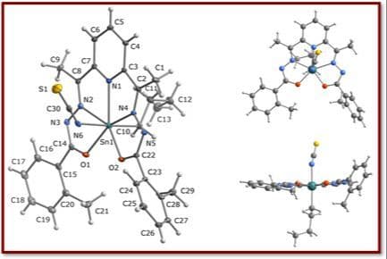 Hepta‐Coordinated Mono‐ and Diorganotin(IV) Compounds with N3O2 Chelating Hydrazone Ligand