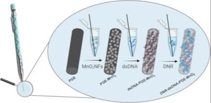 Highly Sensitive and Disposable DNA‐Based Electrochemical Biosensor for Detection of Daunorubicin
