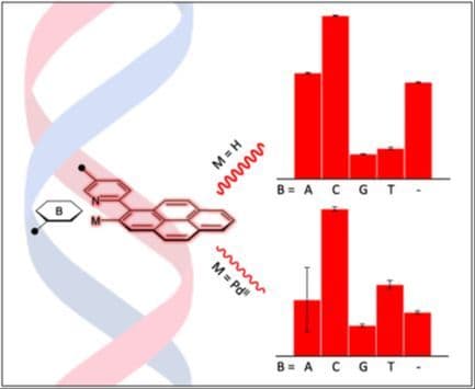Hybridization Probes Featuring a Pyrenylpyridine C‐Nucleoside or Its Palladacycle as a Fluorescent Sensor Moiety