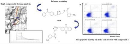 Identification of a New Interesting BAG3 Modulator Able to Disrupt Cancer‐Related Pathways