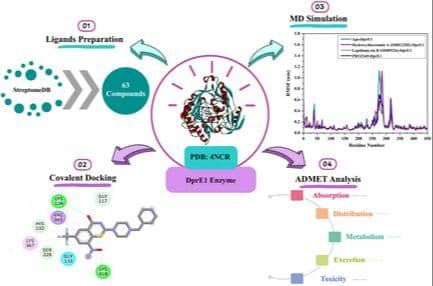 In‐Silico Exploration of the StreptomeDB Database for Potential Irreversible DprE1 Inhibitors toward Antitubercular Treatment
