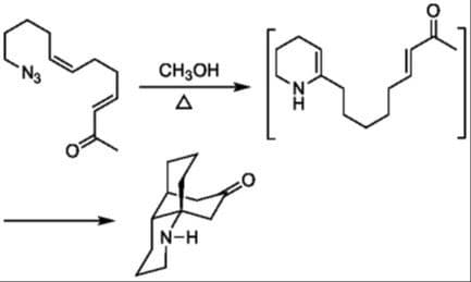 Intramolecular Azide–Alkene Cycloaddition—The Logothetis Reaction